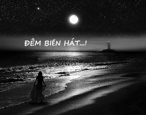 dem bien hat